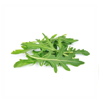 Arugula Leaves