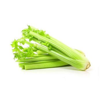 Celery Fresh