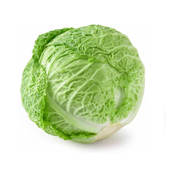 Cabbage Savoy